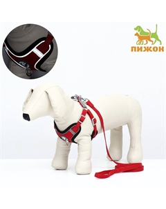 Шлейка с поводком sport+, размер s, ош 39-41 см, ог 44-48 см, поводок 120×1.5 см, вес животного 7-13 кг, красная Пижон