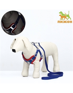 Шлейка с поводком sport+, размер s, ош 39-41 см, ог 44-48 см, поводок 150×1.5 с, вес животного 7-13 кг, синяя Пижон