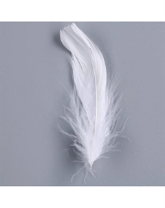 Набор для творчества и декора Nobrand