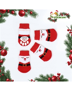 Носки нескользящие для животных Пижон