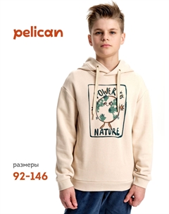 Толстовка Pelican