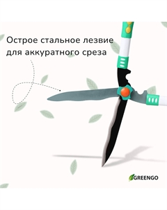 Кусторез, 19 Greengo