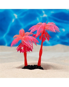 Растение для аквариума и террариума Пижон аква