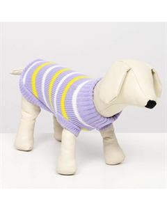 Свитер Пижон