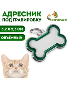 Адресник под гравировку Пижон