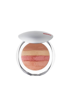 Румяна-пудра универсальная для лица и тела 06 / LUMINYS BAKED ALL OVER 9 гр Pupa