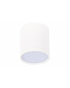 Светильник потолочный ST113.532.05 St-luce