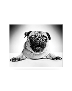 Канвас Idea Hoff