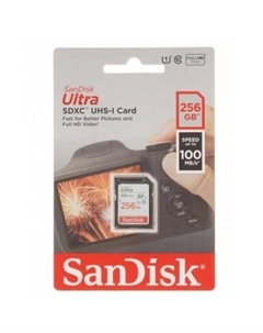 Карта памяти SDXC Ultra Class10 256Gb (SDSDUNR-256G-GN6IN) Sandisk
