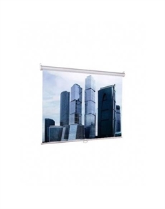 Экран настенно-потолочный Lumien Eco Picture LEP-100113 153x203