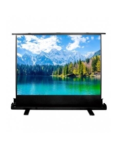 Экран напольный Cactus FloorExpert CS-PSFLE-160X90