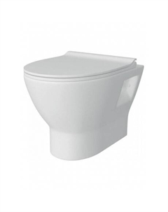 Унитаз подвесной Teymi Ritta безободковый, сиденье микролифт T40809