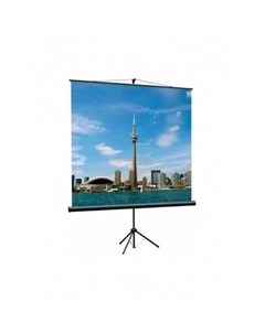 Экран на штативе Lumien Eco View LEV-100111 153x203