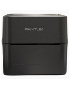 Принтер для печати наклеек PT-D160N 4", 203dpi, 152 mm/s, USB, Ethernet, TSPL, EPL, ZPL, DPL, ESC/POS Pantum