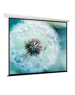 Экран Breston EBR-1106 моторизированный (1:1) 244*244 (236*236) MW Viewscreen