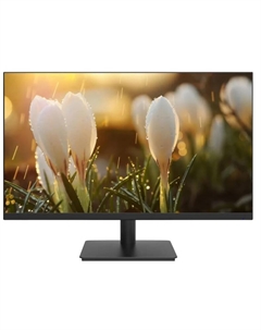 Монитор 23,8" DHI-LM24-A201H 1920x1080 LED, 16:9, IPS, 250cd, 1000:1, 5ms, 178/178, HDMI, M/M, 100Hz, VGA, DP, черный Dahua