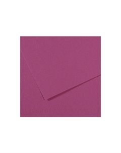 Бумага для пастели "MI-TEINTES" 75x110 см 160 г №507 фиолетовый Canson