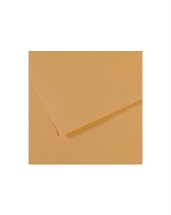 Бумага для пастели "MI-TEINTES" 21x29,7 см 160 г №340 конопляный Canson