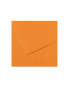 Бумага для пастели "MI-TEINTES" 21x29,7 см 160 г №384 буйволовая кожа Canson