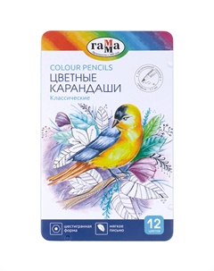 Набор карандашей цветных "Классические" 12 цв, диаметр грифеля 3,3 мм, заточен., метал. пенал Gamma