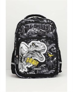 Рюкзак с ортопедической спинкой Erich krause