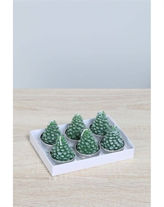 Набор из 6 свечей Ели Coincasa