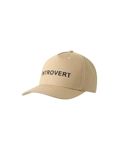 Бейсболка хлопковая Totti