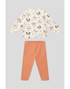 Комплект хлопковый из свитшота и легинсов Fagottino