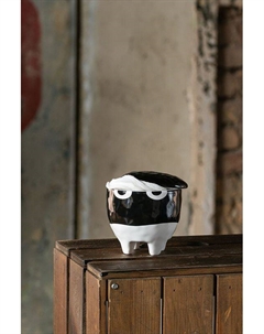 Шкатулка керамическая Irony Moroshka