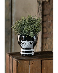 Кашпо керамическое Irony Moroshka