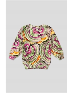 Свитшот Monti Wood Fungi Molo