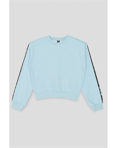 Свитшот с лампасами Reporter young