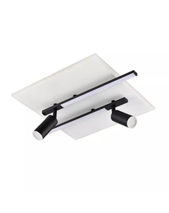 Потолочный светильник Ledio Stells 8256/40CL Lumion