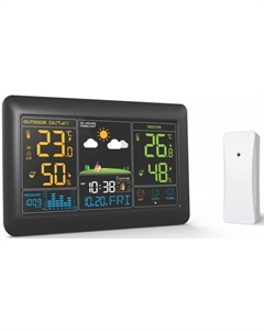 Цифровая метеостанция Bvitech