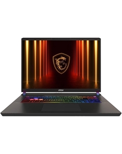Ноутбук MSI Vector 17 HX AI A2XWJG-062RU (9S7-17S372-062) Msi
