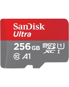 Карта памяти SanDisk MicroSDXC 256GB (SDSQUAB-256G-GN6MN) Sandisk