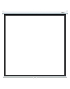 Экран для проекторов Lumien Eco Picture LEP-100109