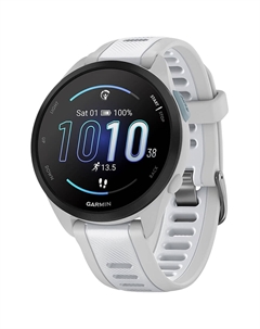 Смарт-часы Garmin Forerunner 165 Music Mist Grey/Whitestone (010-02863-31)
