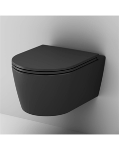 Унитаз подвесной Func C8F1700MBSC черный матовый, с крышкой микролифт Am.pm.