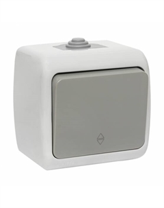 Переключатель Мурманск одноклавишный накладной серый (EFV10-025-30-54) Ekf