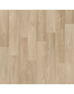 Линолеум полукоммерческий 2,5 м Corsa Camargue 504 Ivc