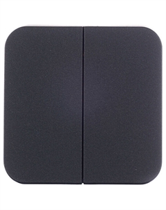 Выключатель Blanca двухклавишный накладной антрацит (BLNVA105016) Systeme electric