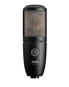 Студийный конденсаторный микрофон AKG P220 Large Diaphragm Cardioid Condenser Microphone Akg