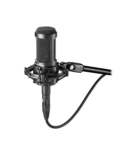 Конденсаторный микрофон Audio-Technica AT2050 Large Diaphragm Multipattern Condenser Microphone Audio-technica