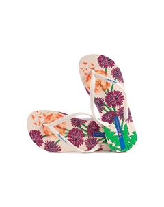 Шлепанцы и сланцы Flip Flops Women's Ipanema