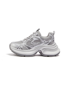 Скользоустойчивые дышащие утолщенные кроссовки для женщин с эффектом увеличения роста, серо-серебристые, сетчатые, цвет Gray/Silver, Mesh Style Camel