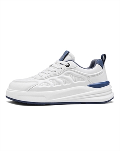 Мужские низкие скейтбордские кроссовки бело-синие, цвет White Blue Hla