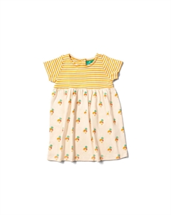 Платье, красочный Little green radicals