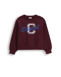 Толстовка, коричневый Coccodrillo