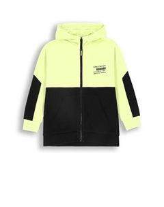 Толстовка, красочный Coccodrillo